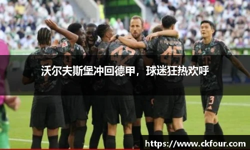 沃尔夫斯堡冲回德甲，球迷狂热欢呼